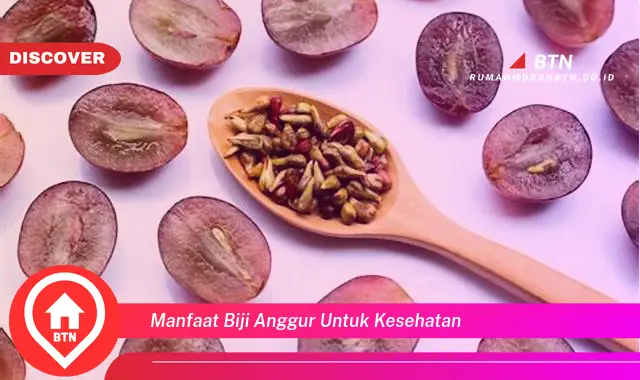 manfaat biji anggur untuk kesehatan