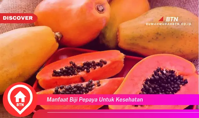 manfaat biji pepaya untuk kesehatan