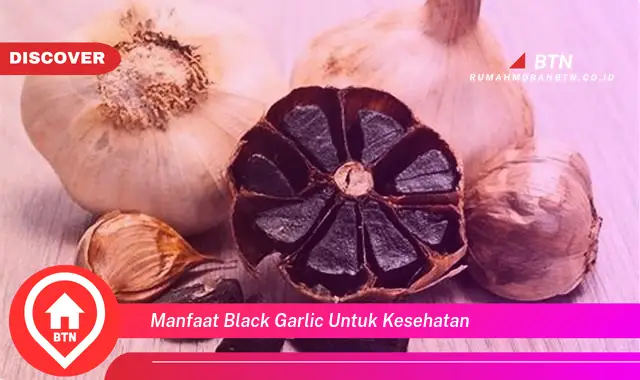 manfaat black garlic untuk kesehatan