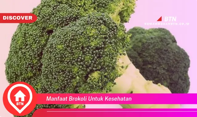 manfaat brokoli untuk kesehatan