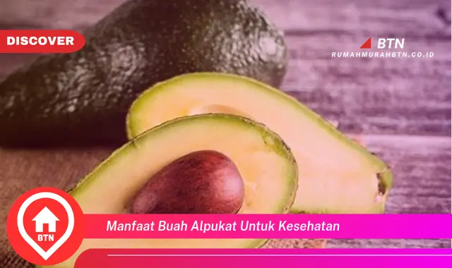 manfaat buah alpukat untuk kesehatan