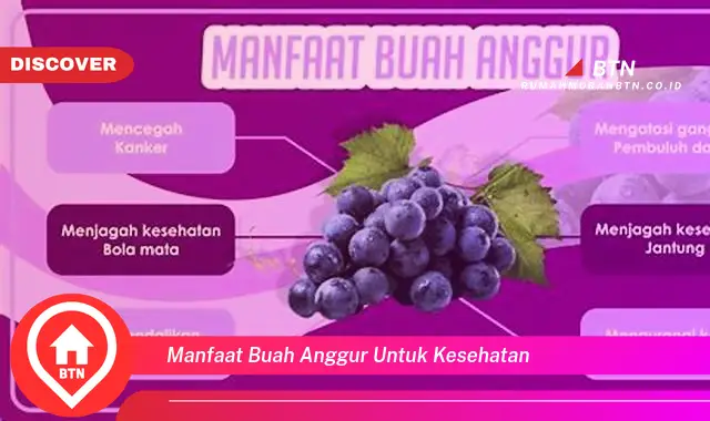 manfaat buah anggur untuk kesehatan