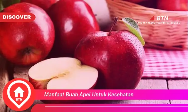 manfaat buah apel untuk kesehatan