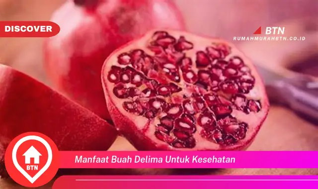 manfaat buah delima untuk kesehatan