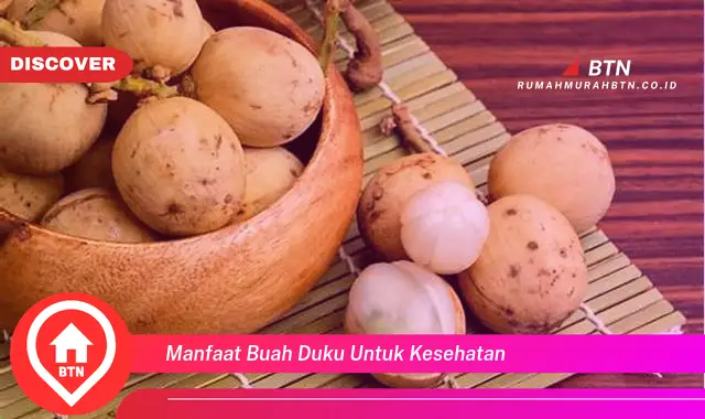 manfaat buah duku untuk kesehatan