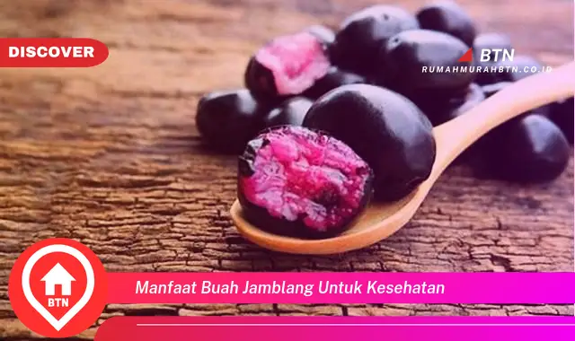 manfaat buah jamblang untuk kesehatan