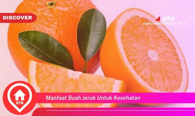 manfaat buah jeruk untuk kesehatan