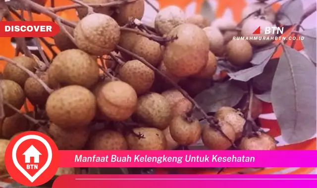 manfaat buah kelengkeng untuk kesehatan