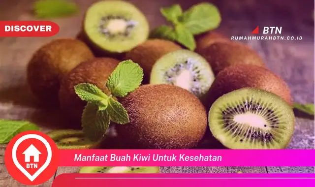 manfaat buah kiwi untuk kesehatan