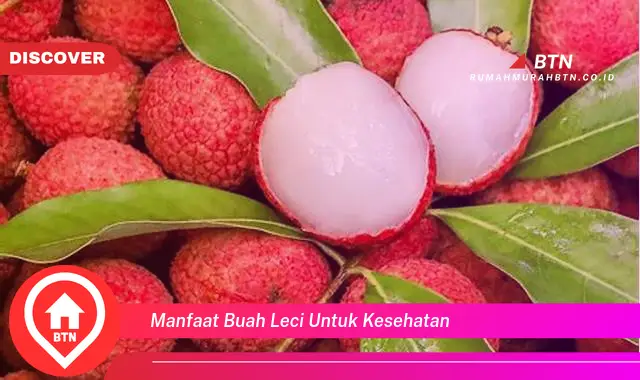 manfaat buah leci untuk kesehatan