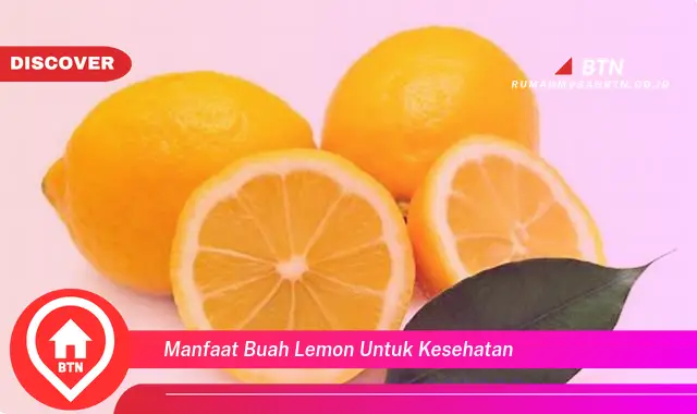 manfaat buah lemon untuk kesehatan