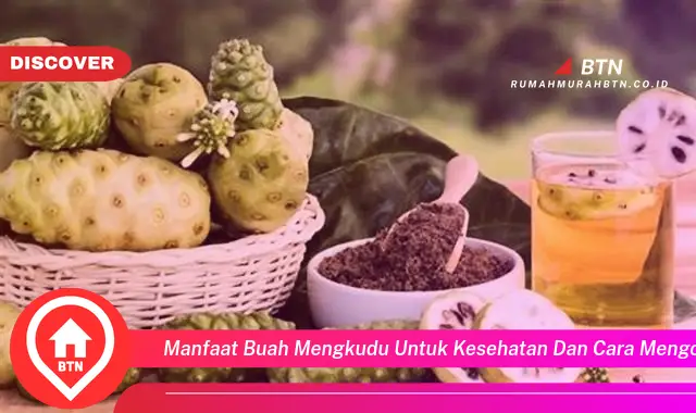 manfaat buah mengkudu untuk kesehatan dan cara mengolahnya