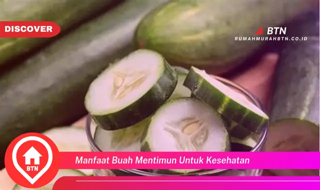 manfaat buah mentimun untuk kesehatan