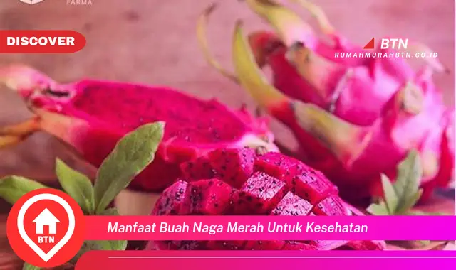 manfaat buah naga merah untuk kesehatan