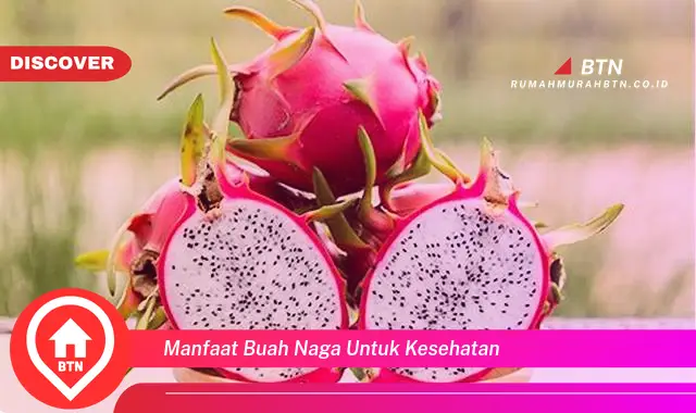 manfaat buah naga untuk kesehatan