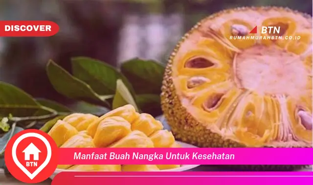 manfaat buah nangka untuk kesehatan