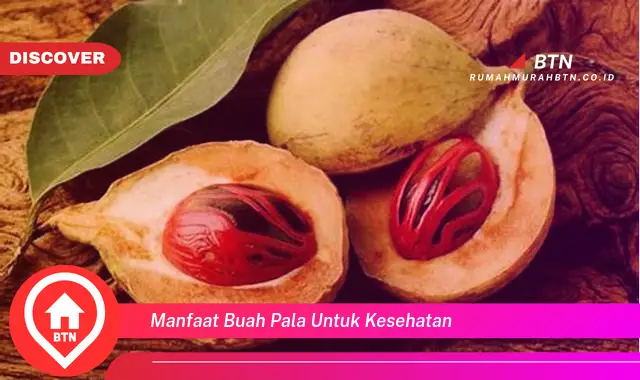 manfaat buah pala untuk kesehatan