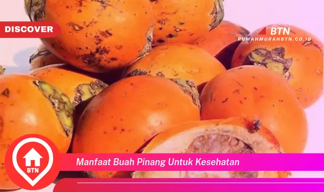 manfaat buah pinang untuk kesehatan