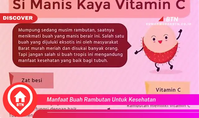 manfaat buah rambutan untuk kesehatan