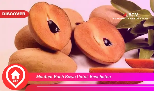 manfaat buah sawo untuk kesehatan