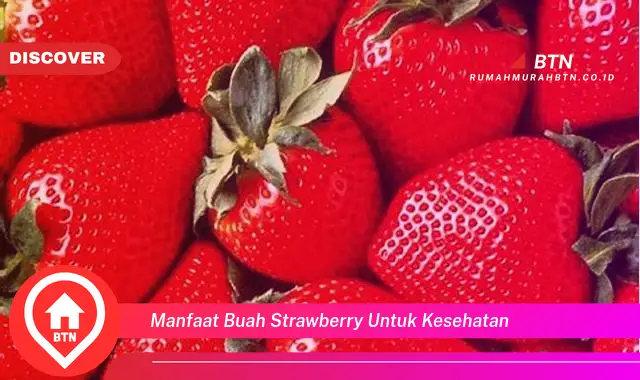 manfaat buah strawberry untuk kesehatan