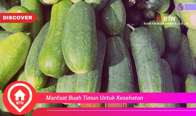 manfaat buah timun untuk kesehatan