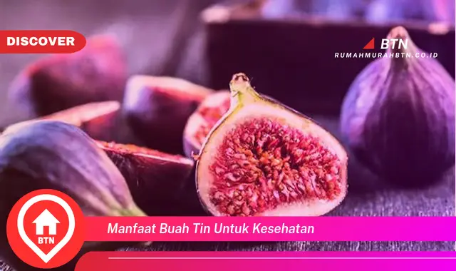 manfaat buah tin untuk kesehatan