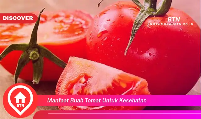 manfaat buah tomat untuk kesehatan