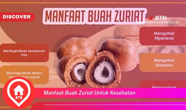 manfaat buah zuriat untuk kesehatan