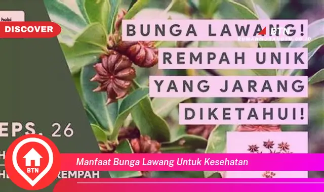 manfaat bunga lawang untuk kesehatan