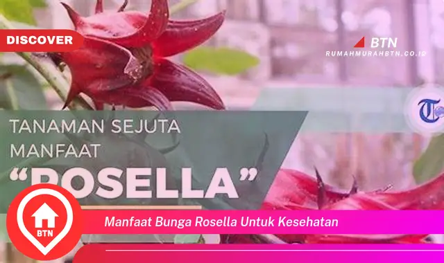 manfaat bunga rosella untuk kesehatan