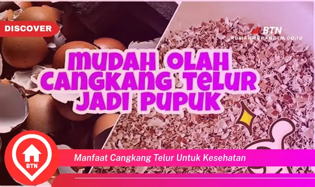 manfaat cangkang telur untuk kesehatan