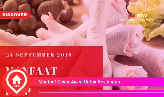 manfaat ceker ayam untuk kesehatan