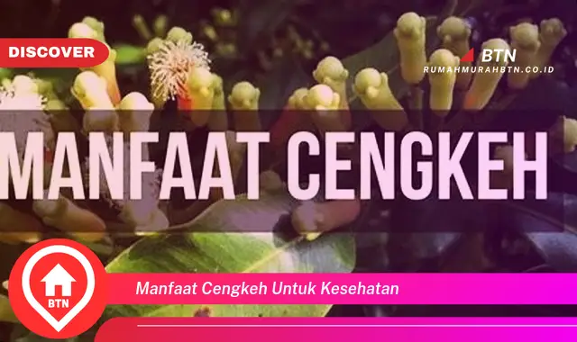 manfaat cengkeh untuk kesehatan