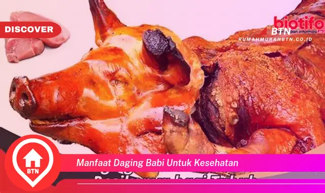 manfaat daging babi untuk kesehatan