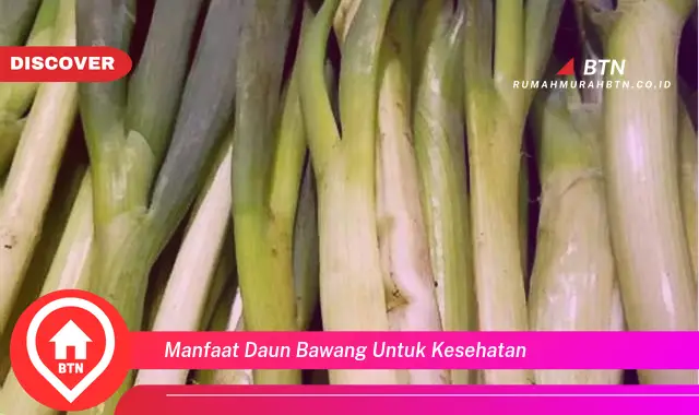 manfaat daun bawang untuk kesehatan