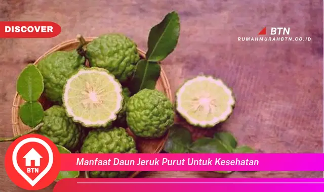 manfaat daun jeruk purut untuk kesehatan