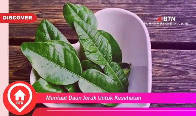 manfaat daun jeruk untuk kesehatan