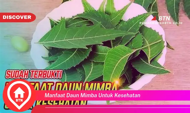 manfaat daun mimba untuk kesehatan