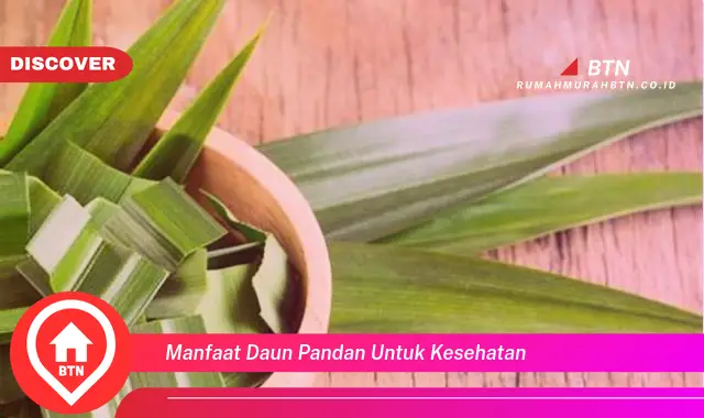 manfaat daun pandan untuk kesehatan