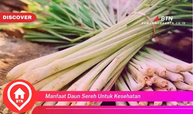 manfaat daun sereh untuk kesehatan