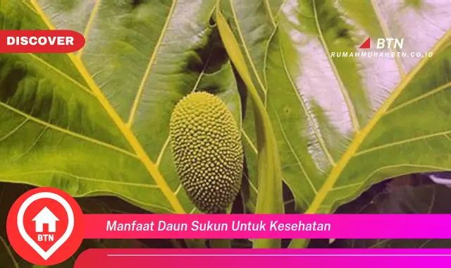 manfaat daun sukun untuk kesehatan