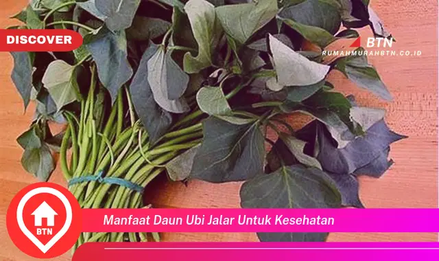 manfaat daun ubi jalar untuk kesehatan