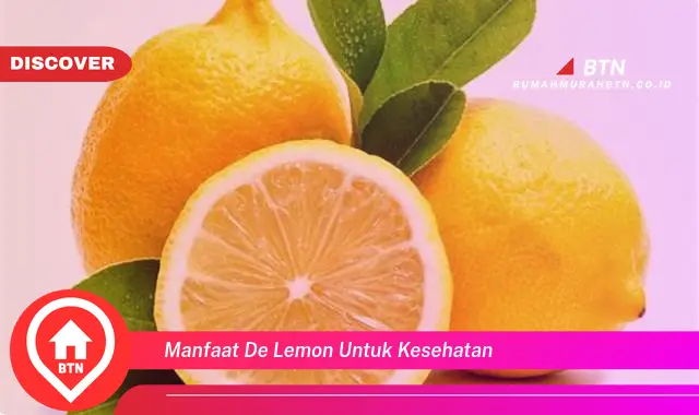 manfaat de lemon untuk kesehatan