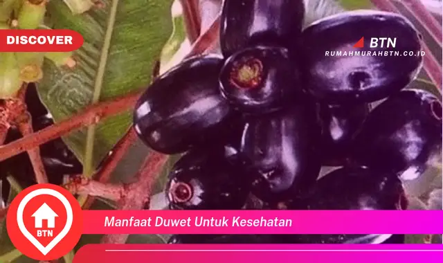 manfaat duwet untuk kesehatan