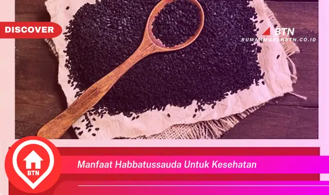 manfaat habbatussauda untuk kesehatan