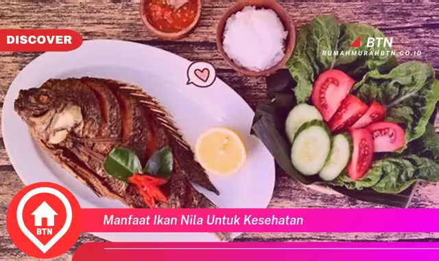 manfaat ikan nila untuk kesehatan