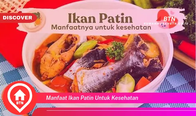 manfaat ikan patin untuk kesehatan