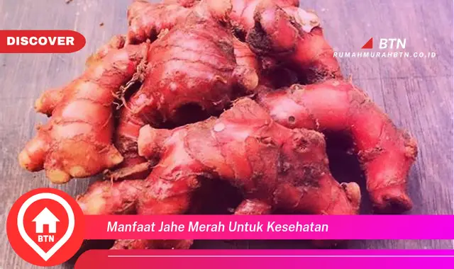 manfaat jahe merah untuk kesehatan