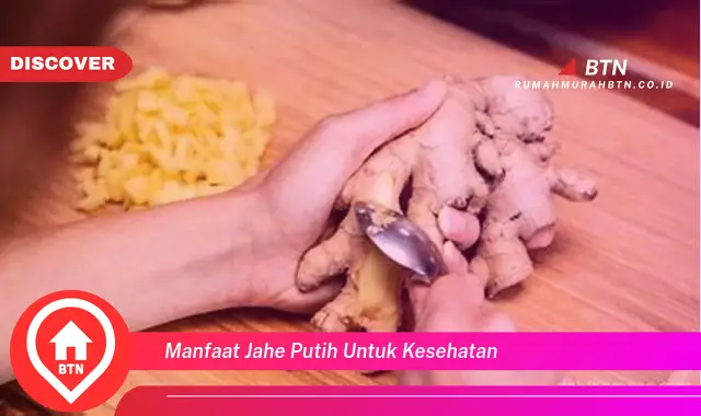 manfaat jahe putih untuk kesehatan